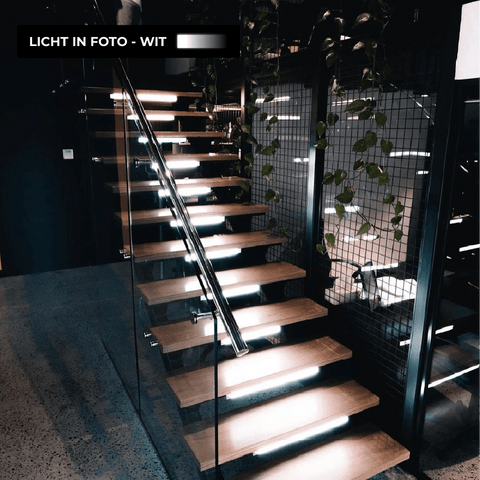 Motion Sensor Lamp