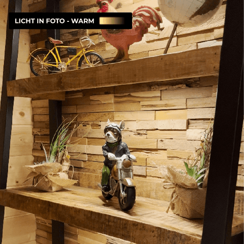 Motion Sensor Lamp