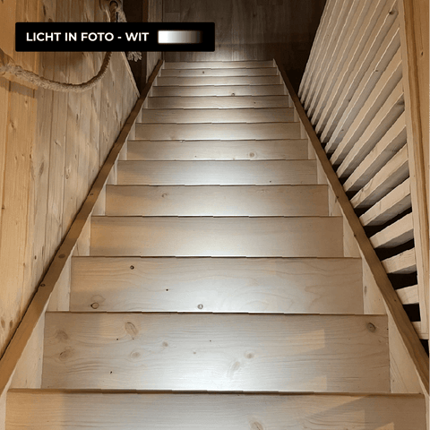 Motion Sensor Lamp